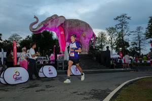 BIB: 
                            <button type="button" onclick="openModal(26529525)" class="btn btn-primary btn-sm float-right btn-popup" data-toggle="modal" data-target=".modal-high-quality">
                        <i class="fas fa-shopping-cart"></i> Add to Cart
                    </button>
                                            <button type="button" onclick="isThisMe(26529525, true)" class="btn btn-success btn-sm float-right btn-popup btn-isme hidden" data-toggle="tooltip" data-placement="bottom" title="นี่คือรูปของคุณใช่ไหม คลิกที่นี่เพื่อเอาเข้าอัลบั้ม">
                        <i class="fas fa-plus"></i> Add to album
                    </button>
                    <button type="button" onclick="isThisMe(26529525, false)" class="btn btn-warning btn-sm float-right btn-popup btn-isnotme hidden">
                        <i class="fas fa-ban"></i> Remove from album
                    </button>